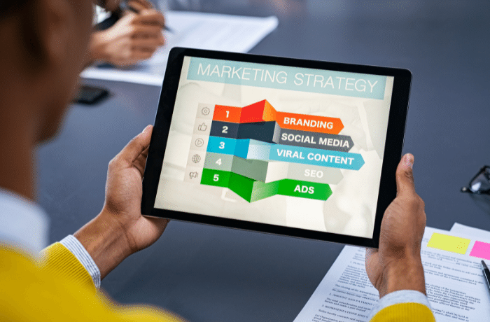Digital Strategy / Virtual CMO